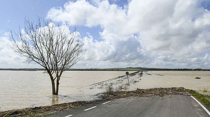 Telediario en lengua de signos - Telediario - 15 horas - 19/03/25 - Lengua de signos