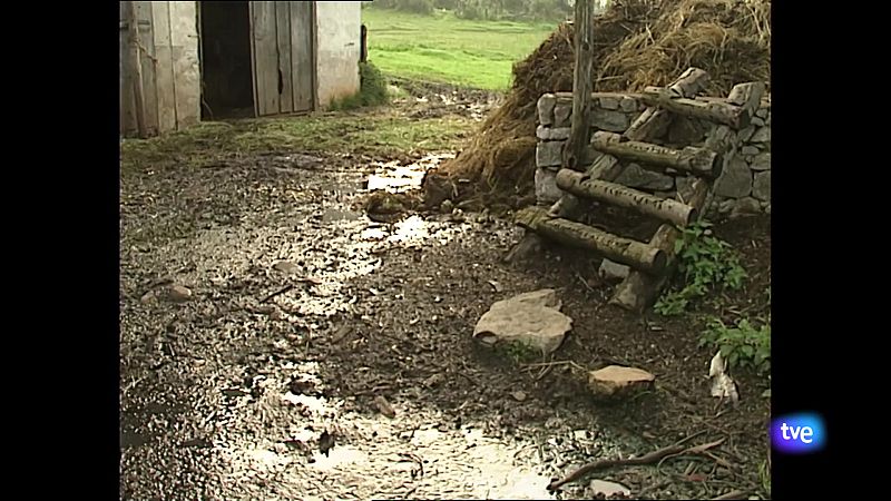 Asturias en 2' - 19/03/25 | Ver