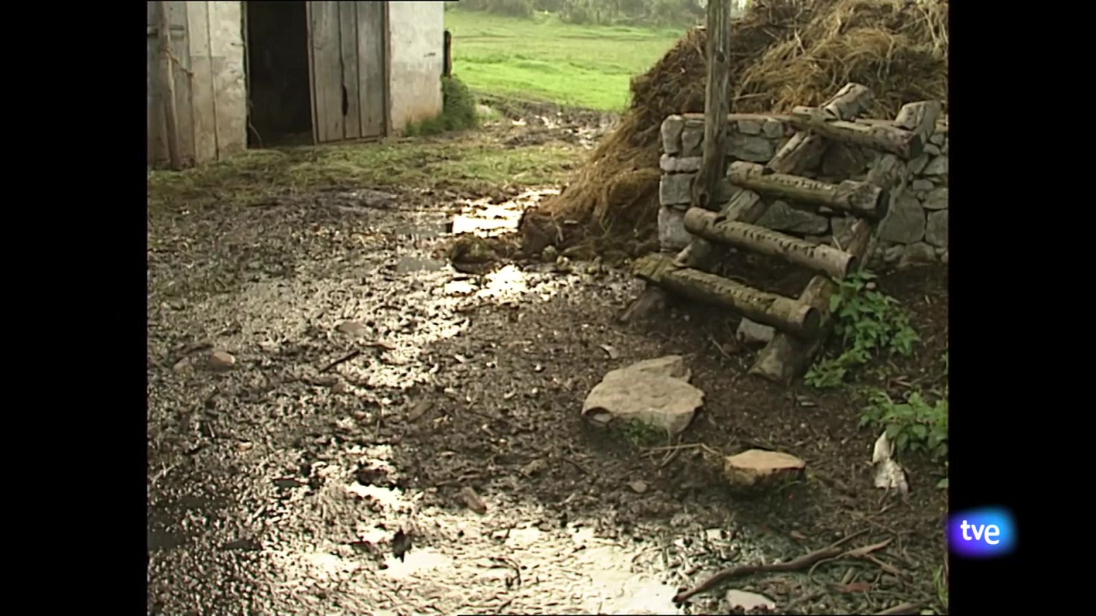 Panorama Regional 2 - 19/03/2025 - Ver ahora