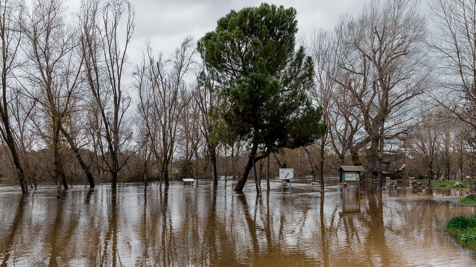 Preocupación en Madrid ante la crecida del río Manzanares - Informativo 24h | Ver