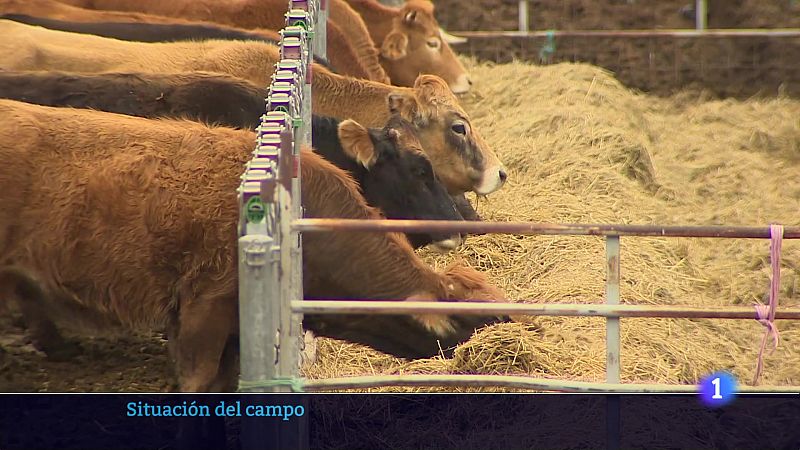 Informativo Telerioja  - 20/03/25 - Ver ahora | Ver