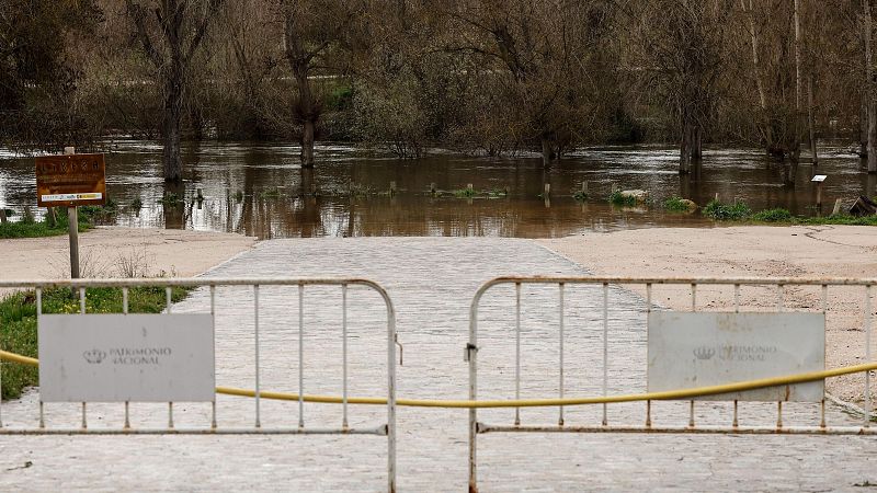 Telediario 1 en cuatro minutos - 20/03/25– RTVE.es | Ver