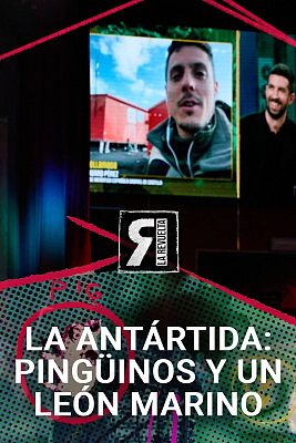 La Revuelta - La Antártida, un león marino y dos pingüinos