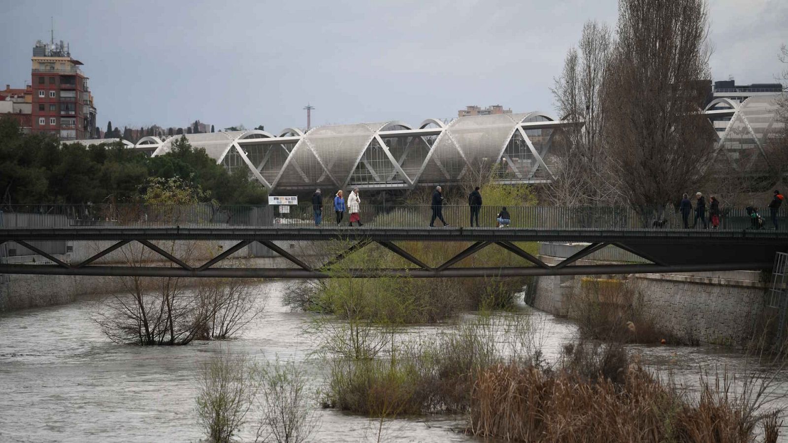 Telediario - 8 horas - 21/03/25 - Lengua de signos - ver ahora