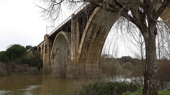 Diario 24 - Diario 24 - 21/03/25