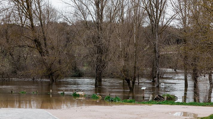 Telediario en lengua de signos - Telediario - 15 horas - 21/03/25 - Lengua de signos