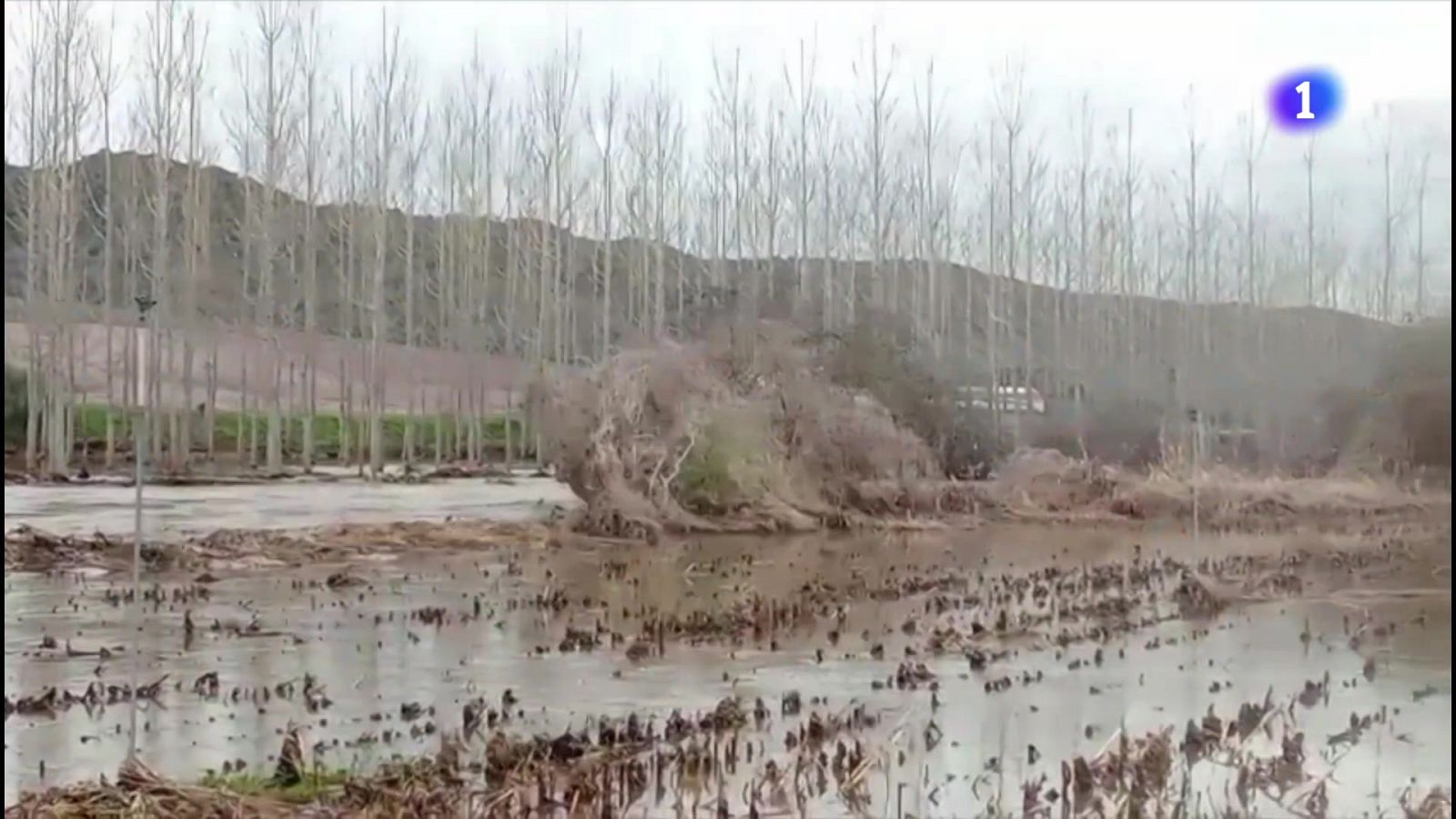 La borrasca Martinho anega los cultivos | Ver