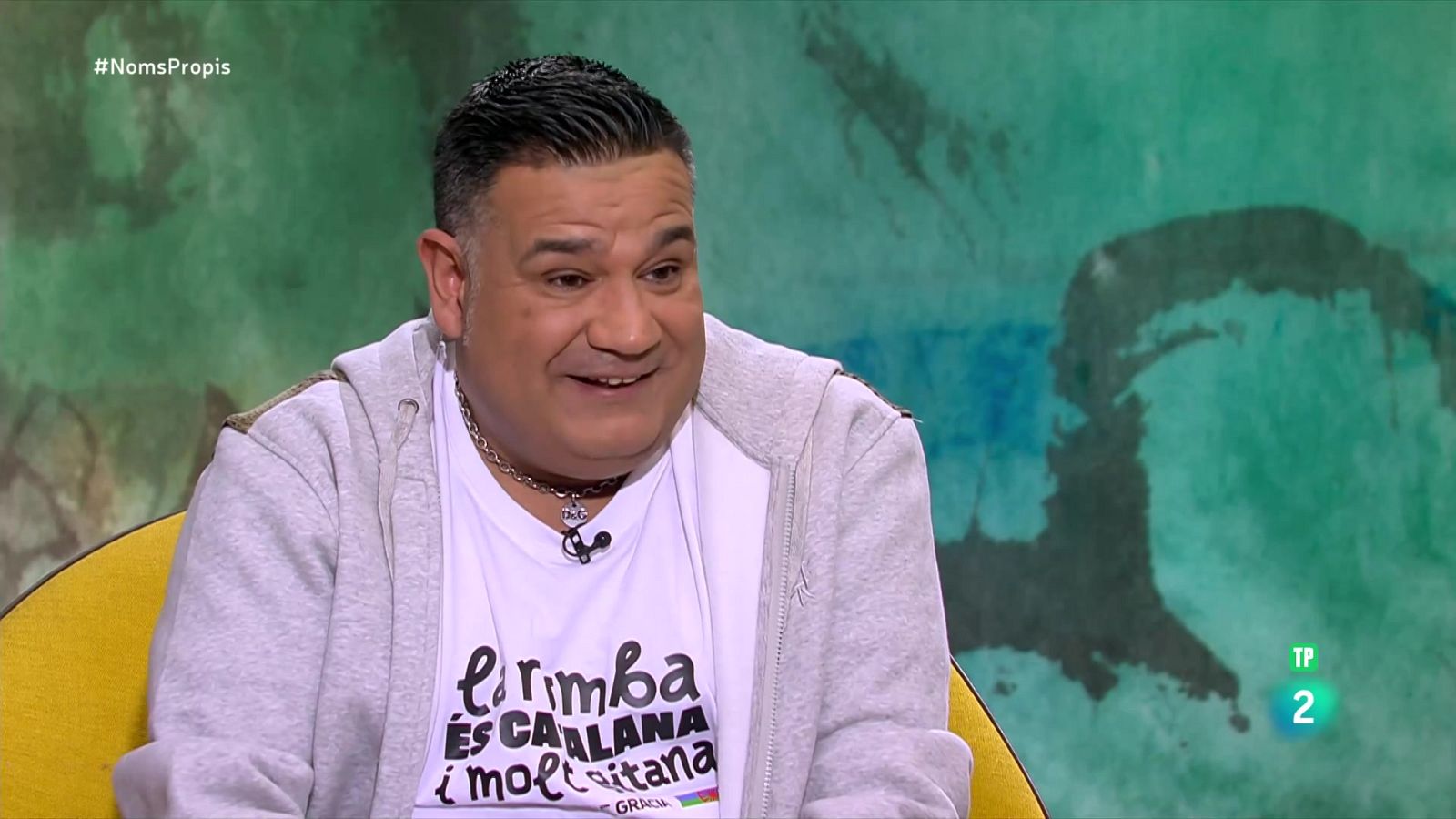 Noms Propis - Sicus Carbonell, músic - Veure Ara