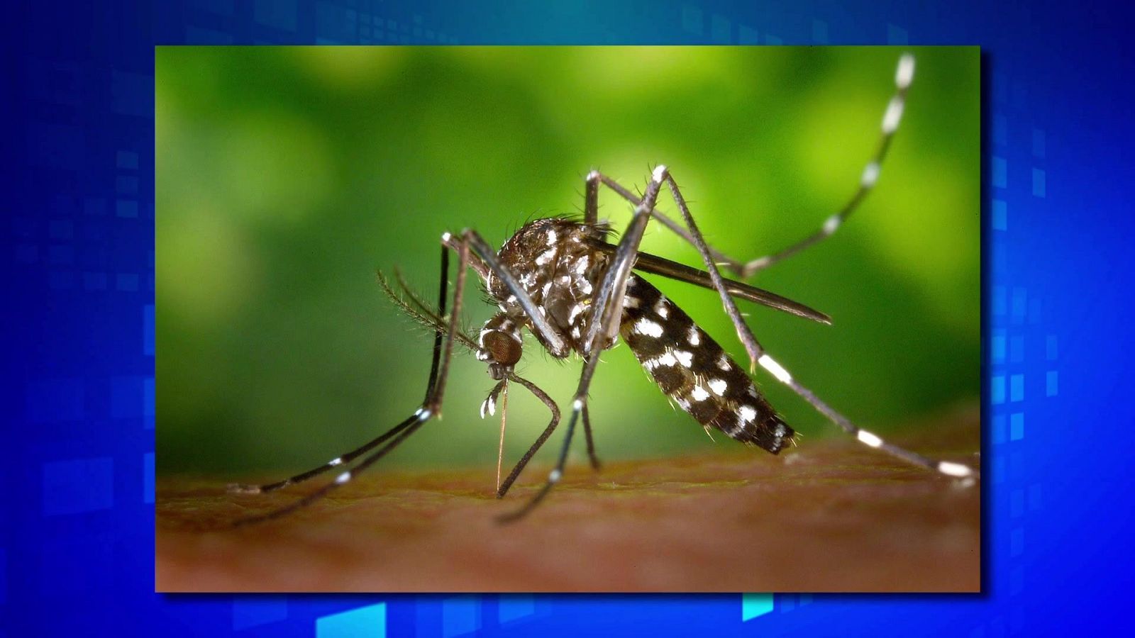 Saber y ganar - 24/03/25 - ver ahora