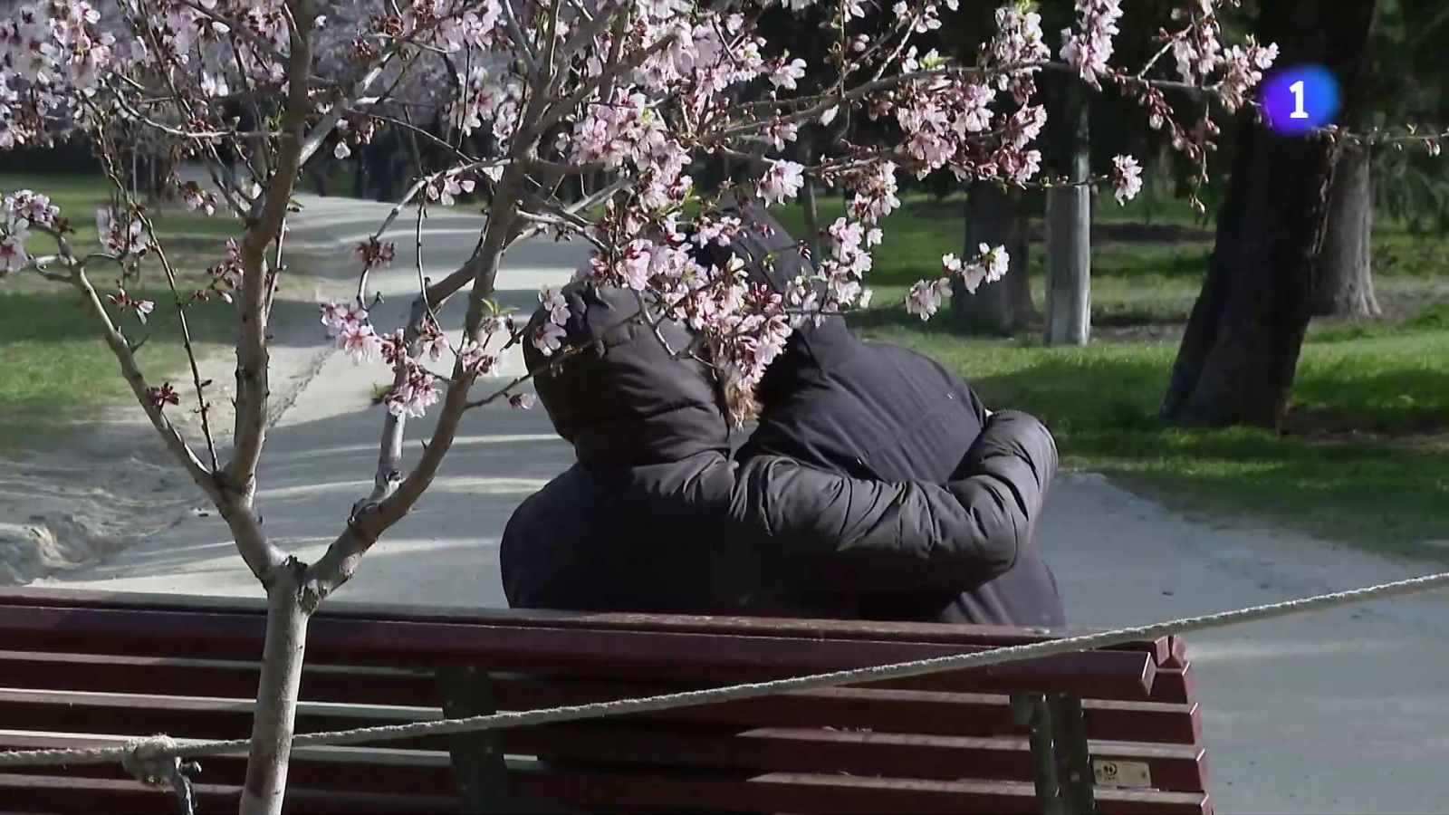 L'Obrador de l’Esperança: una història d’amor i segones oportunitats entre farina i cafè - L'Informatiu | Veure