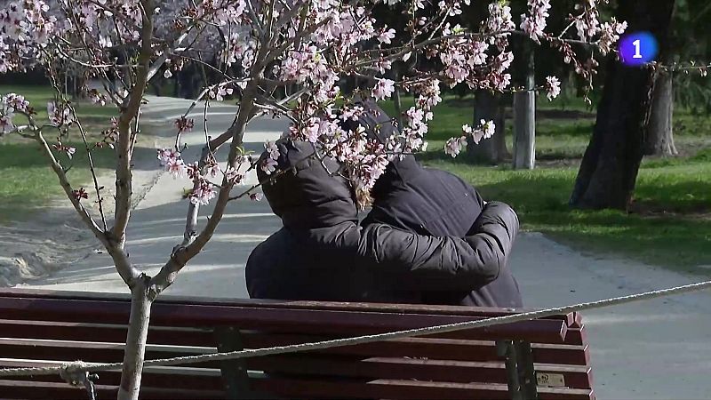 L'Obrador de l’Esperança: una història d’amor i segones oportunitats entre farina i cafè - L'Informatiu | Veure