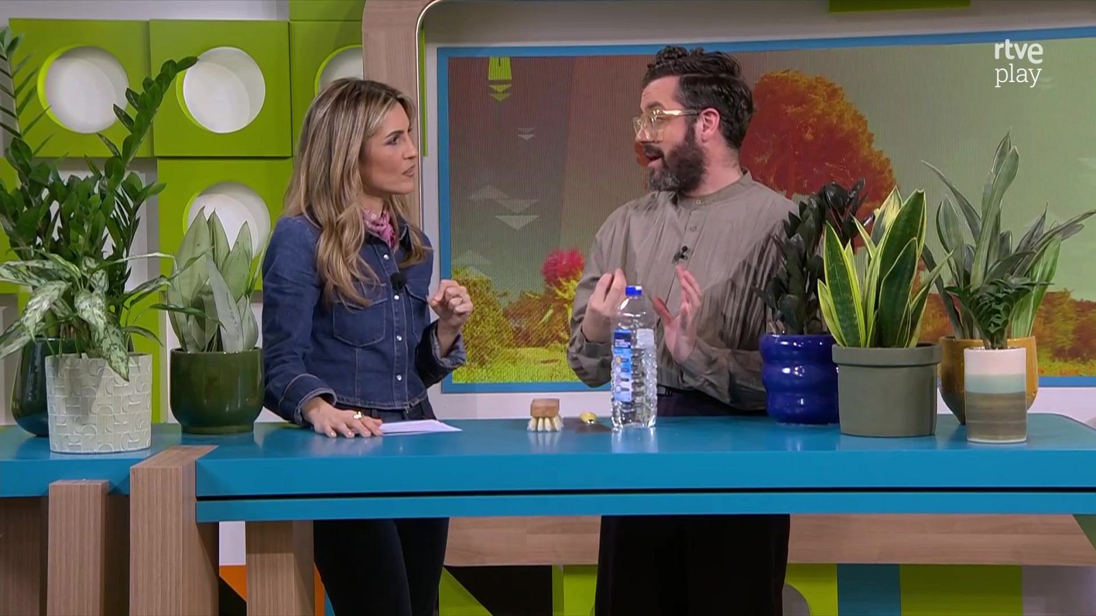 Quines plantes sobreviuen amb poca llum? | L'altaveu - L'altaveu | Veure