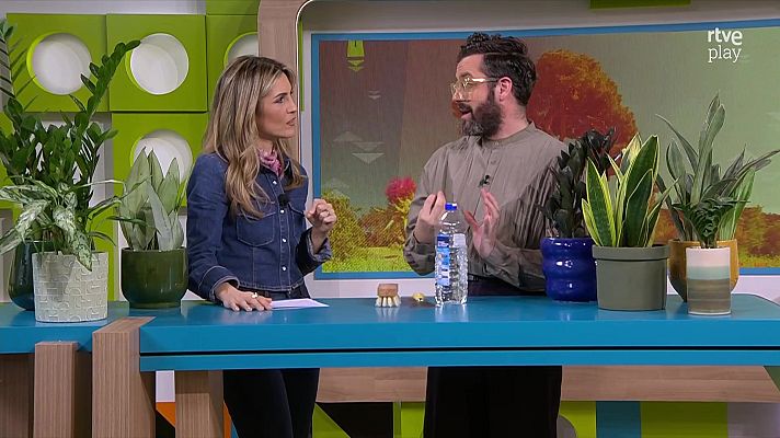 L'altaveu - Quines plantes sobreviuen amb poca llum?