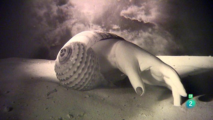 La aventura del Saber - 1924. Otros surrealismos