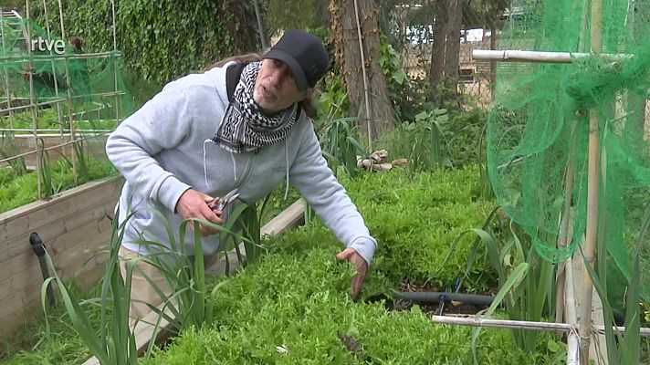 Aquí hay trabajo - Cultivando oportunidades
