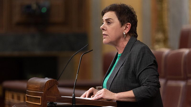 Bildu defiende que Europa debe "ofrecer seguridad mediante la paz" - Modo Digital | Ver