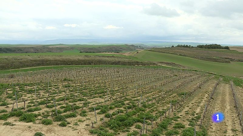 Informativo Telerioja 2 - 28-03-2025 | Ver