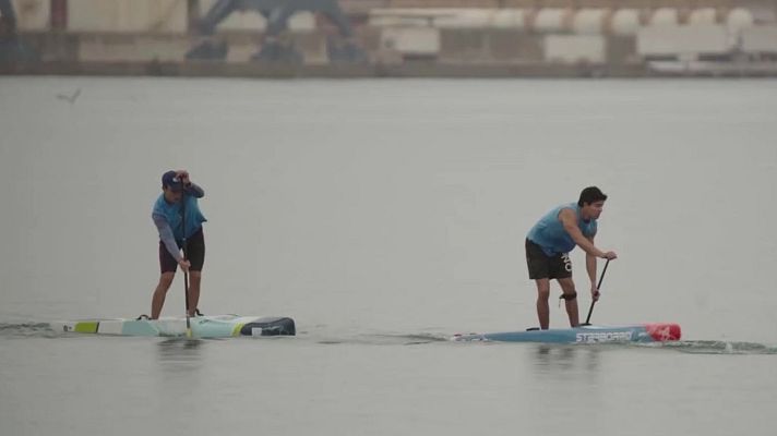 Surfing.es - T8 - Programa 8