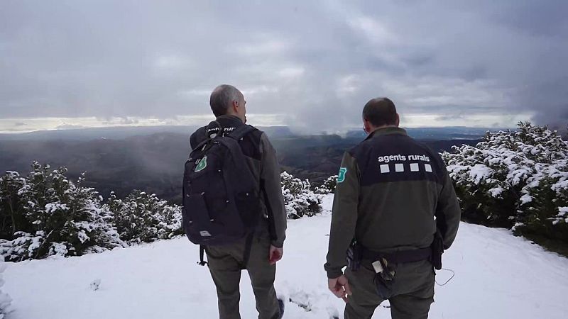 El escarabajo verde - Proteger la tierra