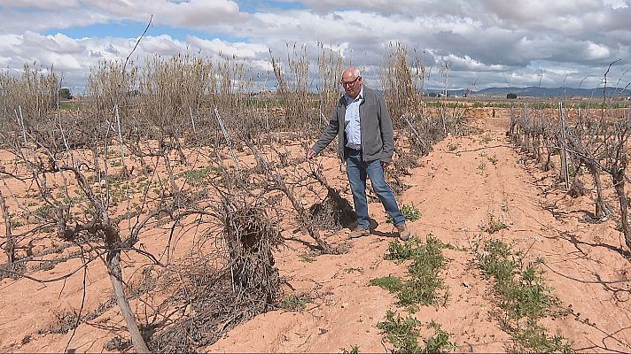 Agrosfera - Agrosfera - 29/03/25