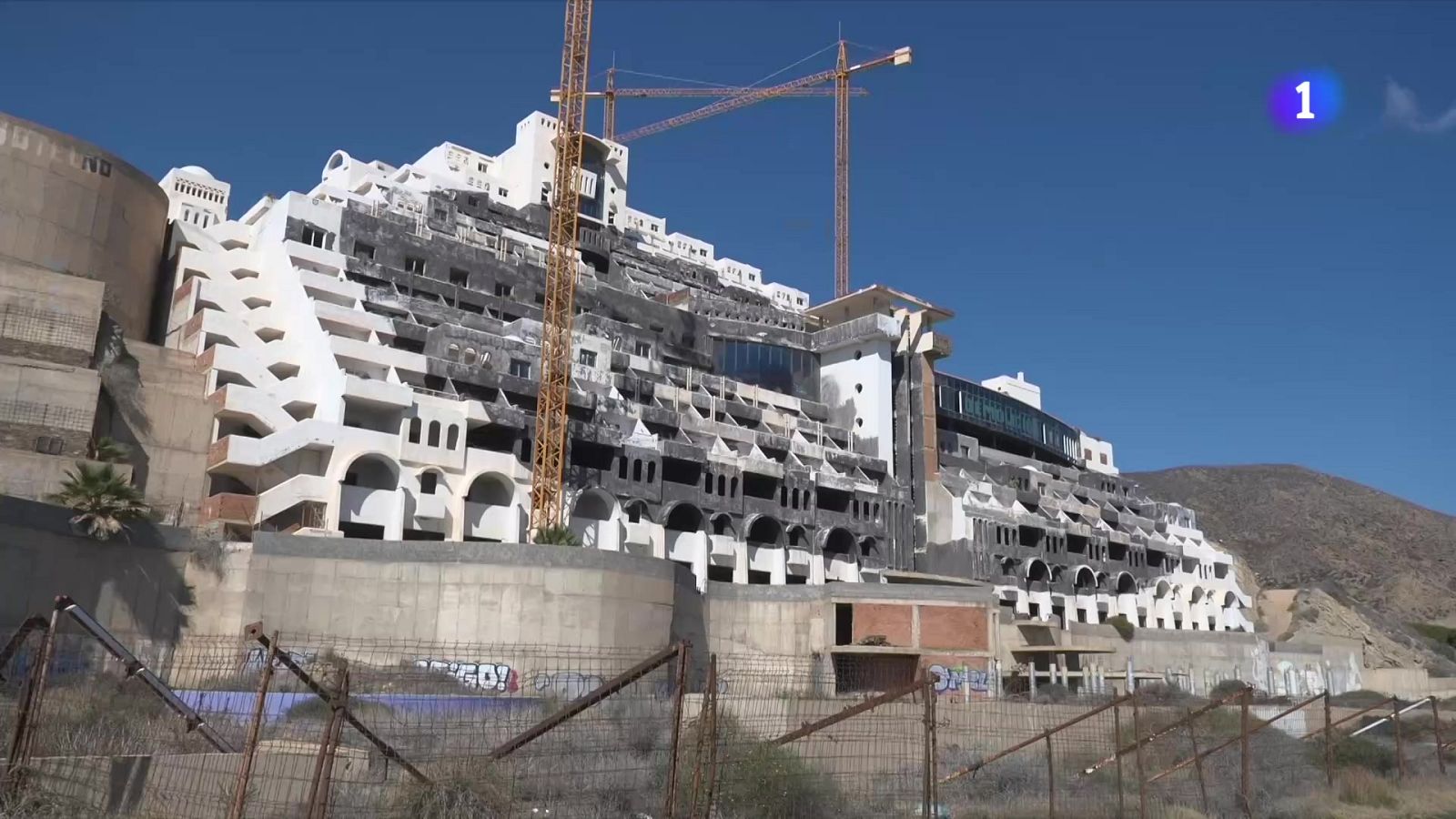 Los otros algarrobicos | Ver