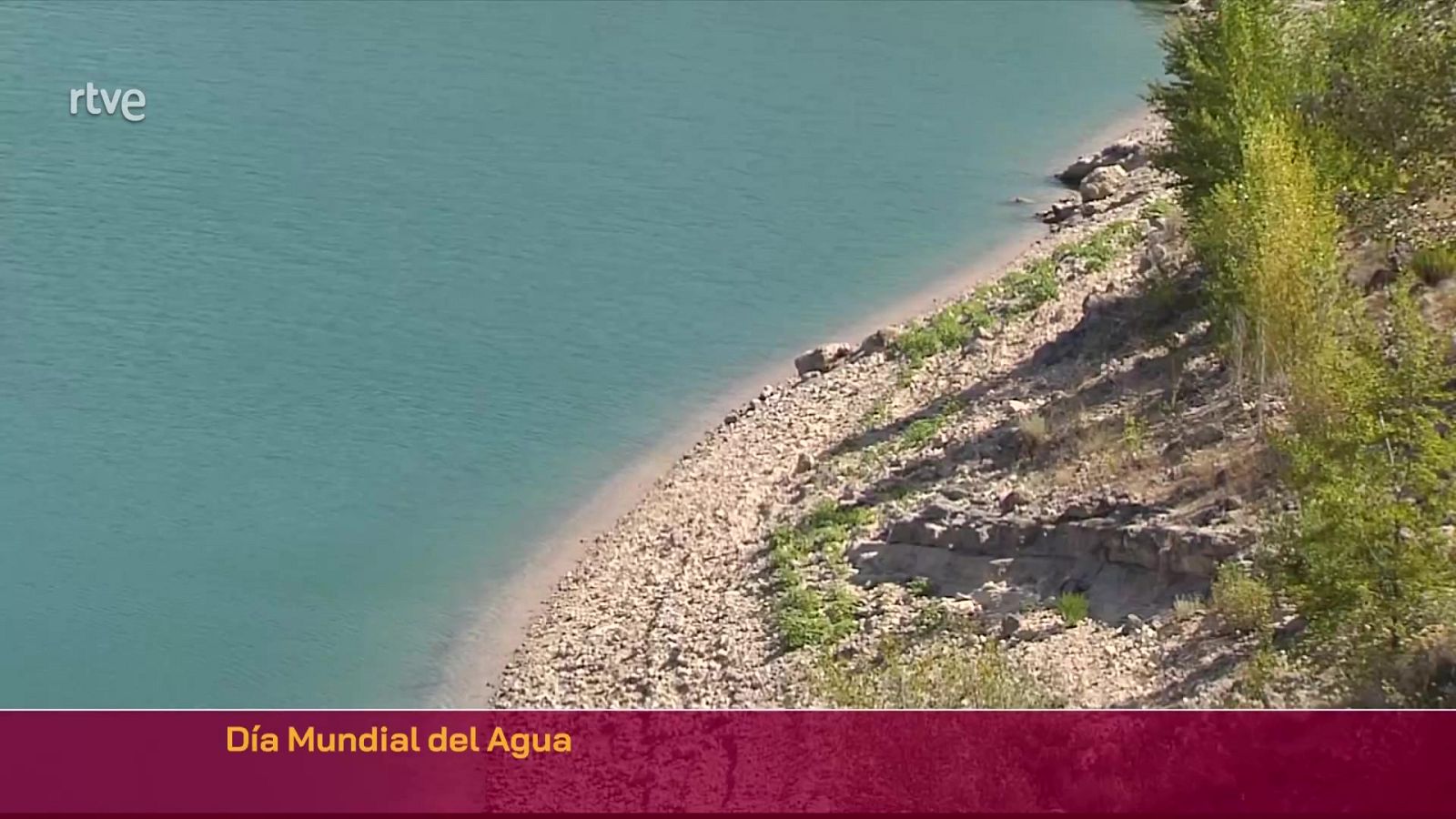 Día Mundial del Agua | Ver