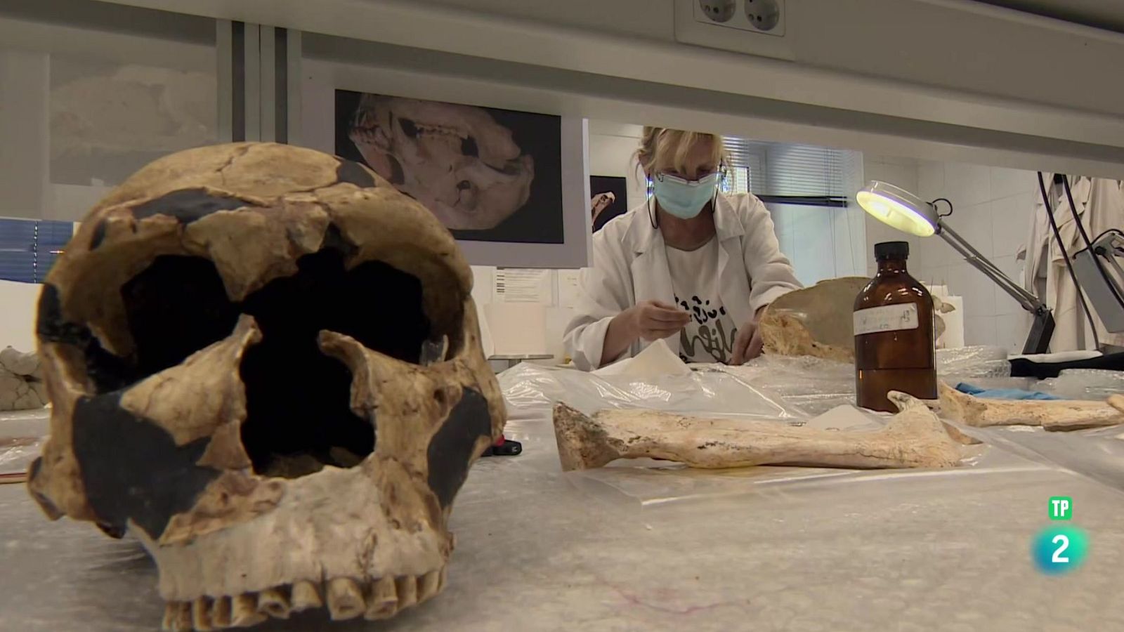 ‘El sexo injusto’ | Ver