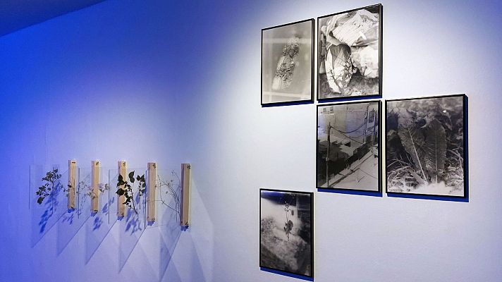 Metrópolis - INJUVE 2025: Formas de superar el desamor