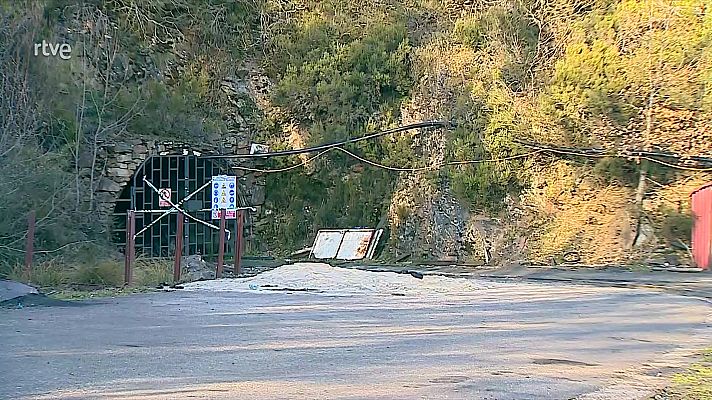 Diario 24 - Diario 24 - 01/04/25