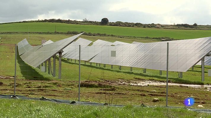 Informativo Telerioja - Informativo Telerioja 2 - 02-04-2025