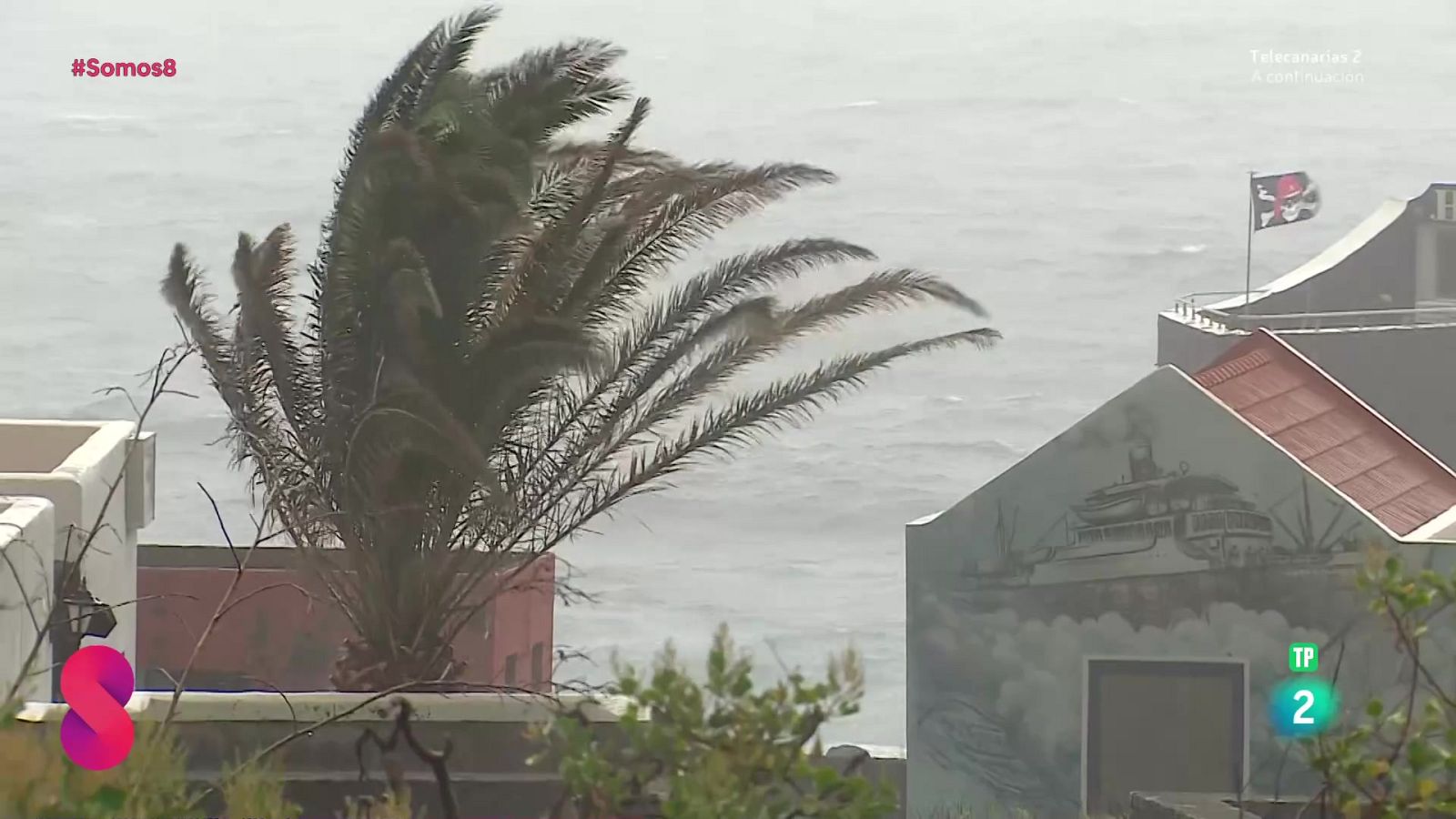 Somos 8 - 03/04/2025 - Somos 8 | Ver