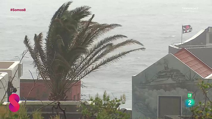 Somos 8 - Somos 8 - 03/04/2025