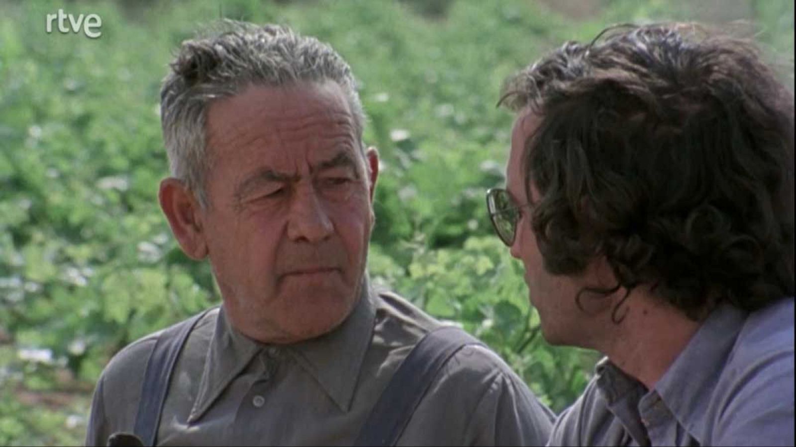 Raíces - Corpus en Camuñas - Raíces | Ver