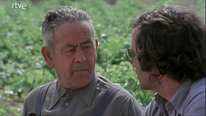 Raíces - Corpus en Camuñas