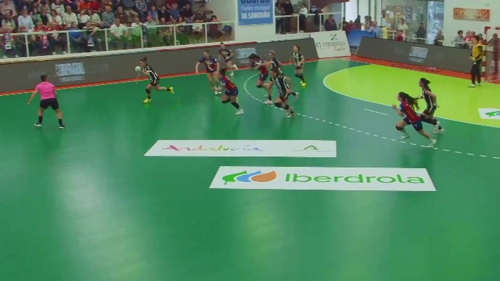 Balonmano - Liga Guerreras Iberdrola. 23ª jornada: Mecalia Atlético Guardés - Costa del Sol Málaga  - ver ahora