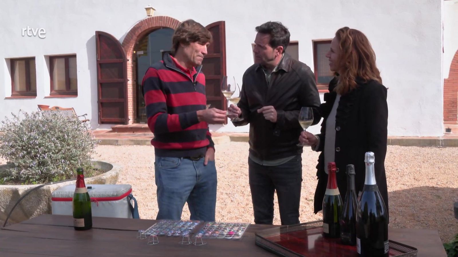 Terrícola de Honor: Julio Salinas | Ver