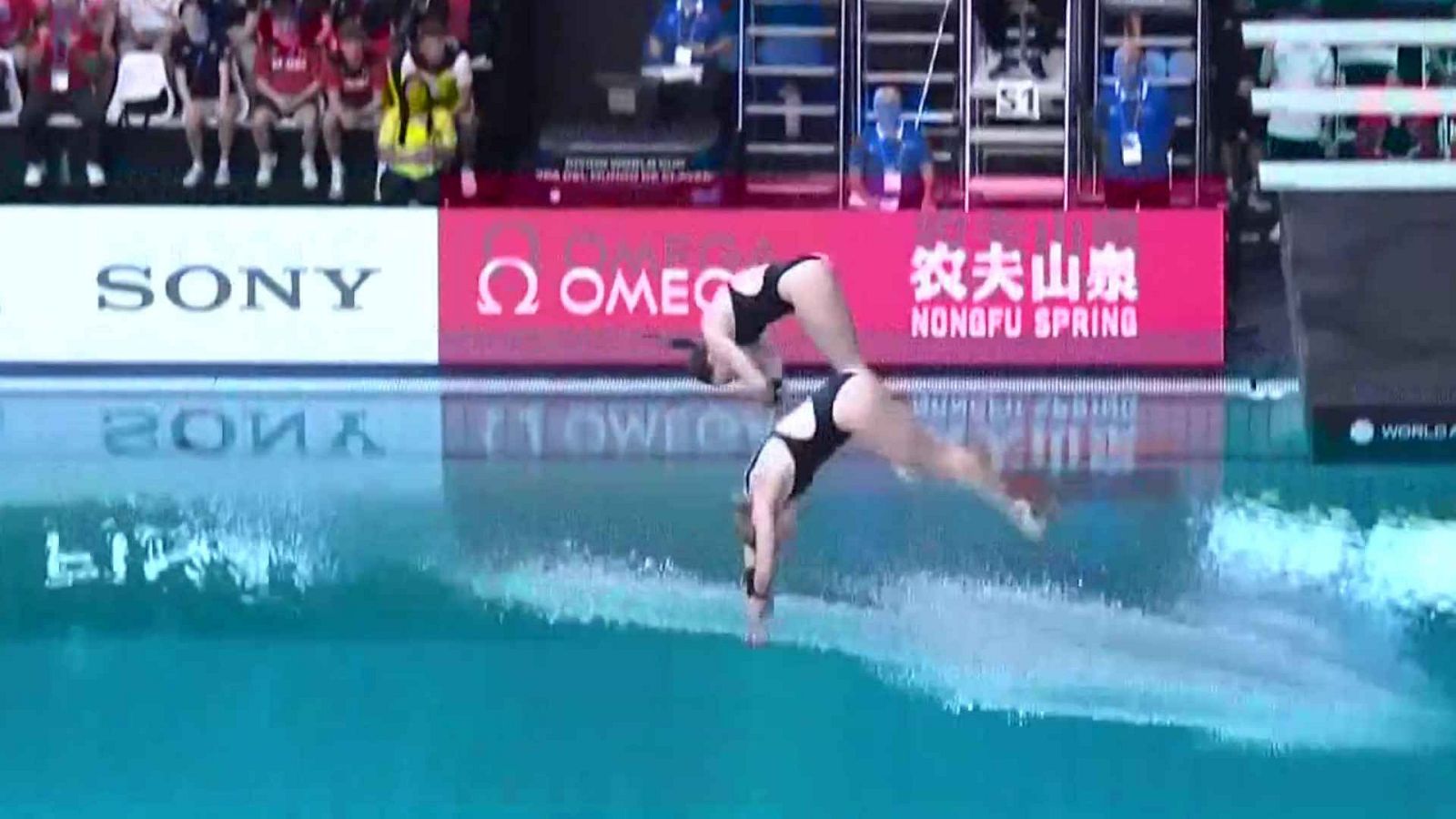 Saltos - Copa del Mundo. Final 10m Sincronizados Femeninos - ver ahora