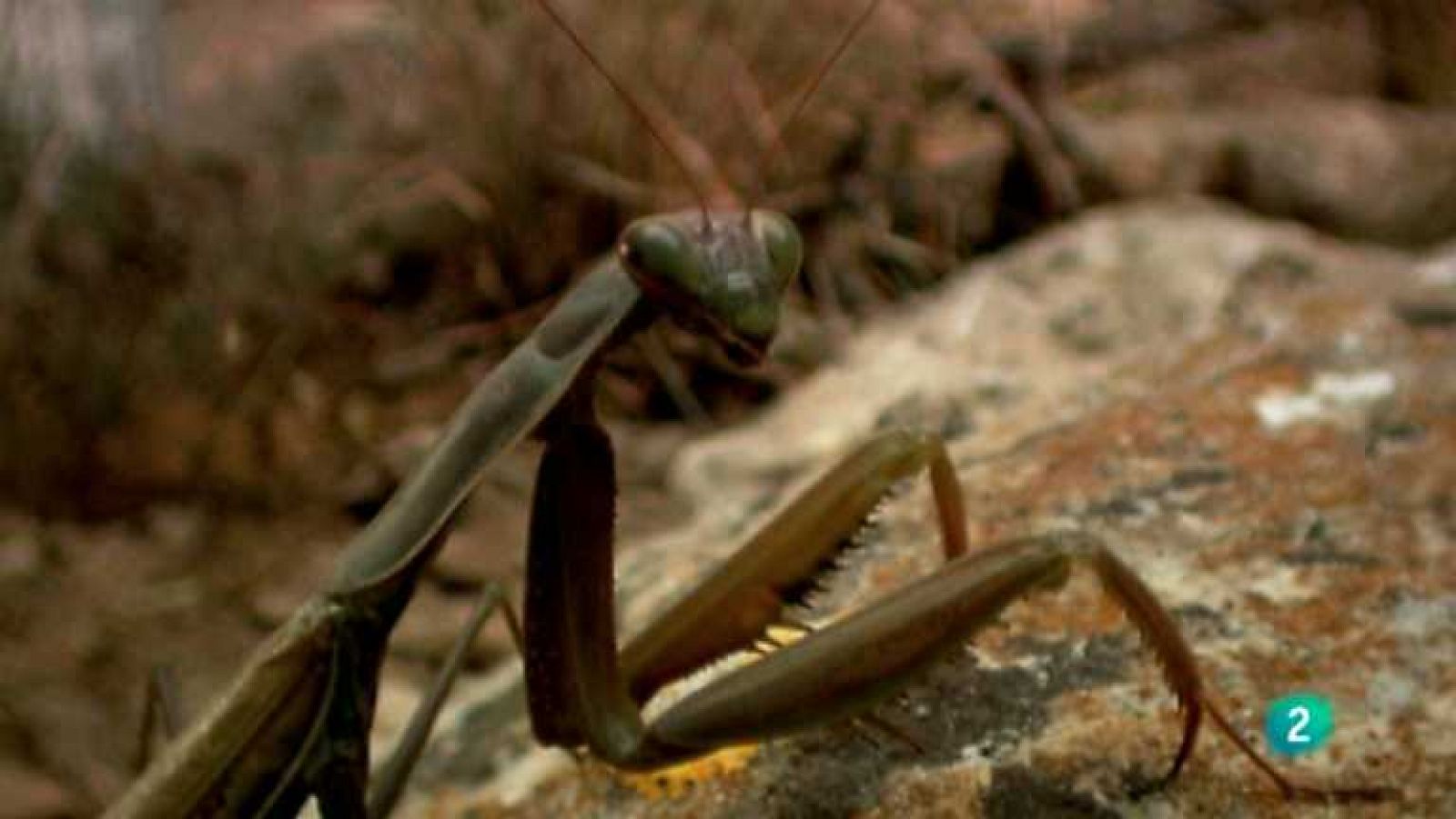 Biodiario - 09/01/13 - ver ahora