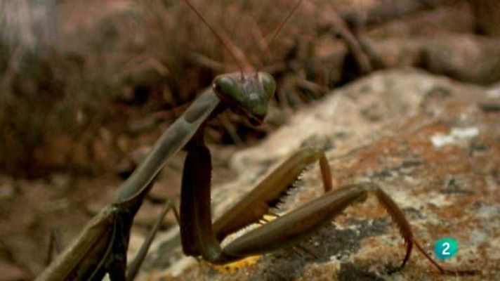 Biodiario - Biodiario - 09/01/13