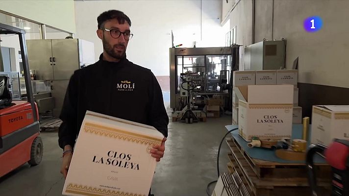 L'Informatiu - L'Informatiu 2 - 09/04/2025