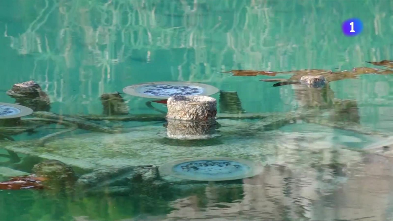 Torna a l'aigua a les fonts ornamentals barcelonines - L'Informatiu | Veure