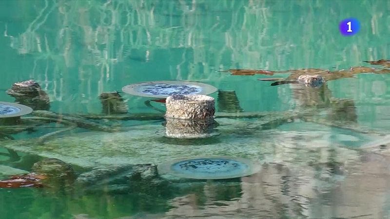 Torna a l'aigua a les fonts ornamentals barcelonines - L'Informatiu | Veure