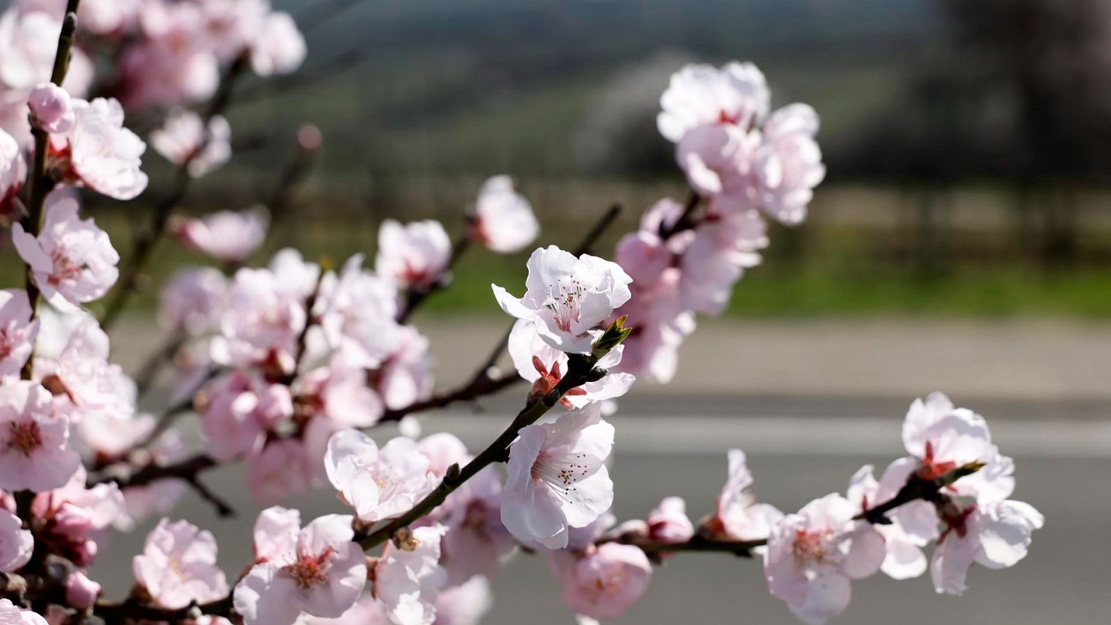 ¿Cómo afectarán a España los aranceles de la UE a EE.UU.? - Telediario 2 | Ver
