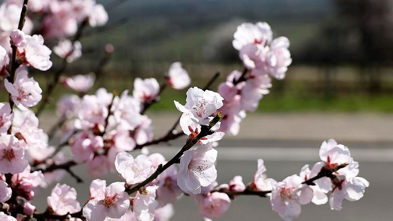 ¿Cómo afectarán a España los aranceles que la UE ha impuesto a EE.UU.?