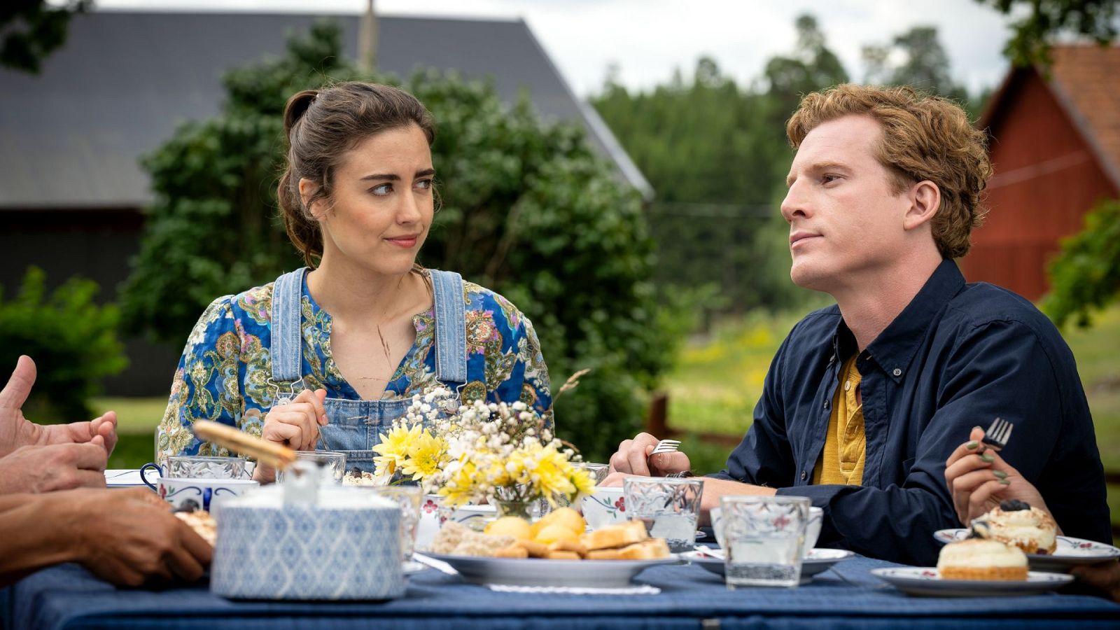 Sesión de tarde - Inga Lindstrom. Como el perro y el gato - Ver ahora