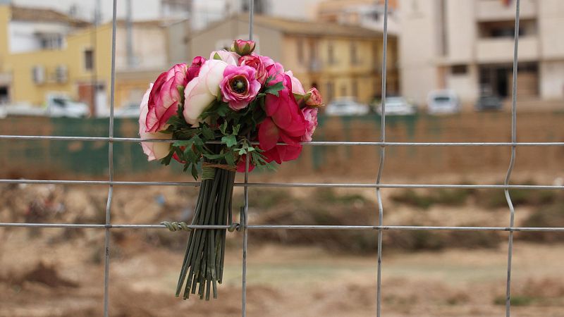 Amnistía Internacional denuncia que la Generalitat "vulneró derechos" en la dana - Informativo 24h | Ver