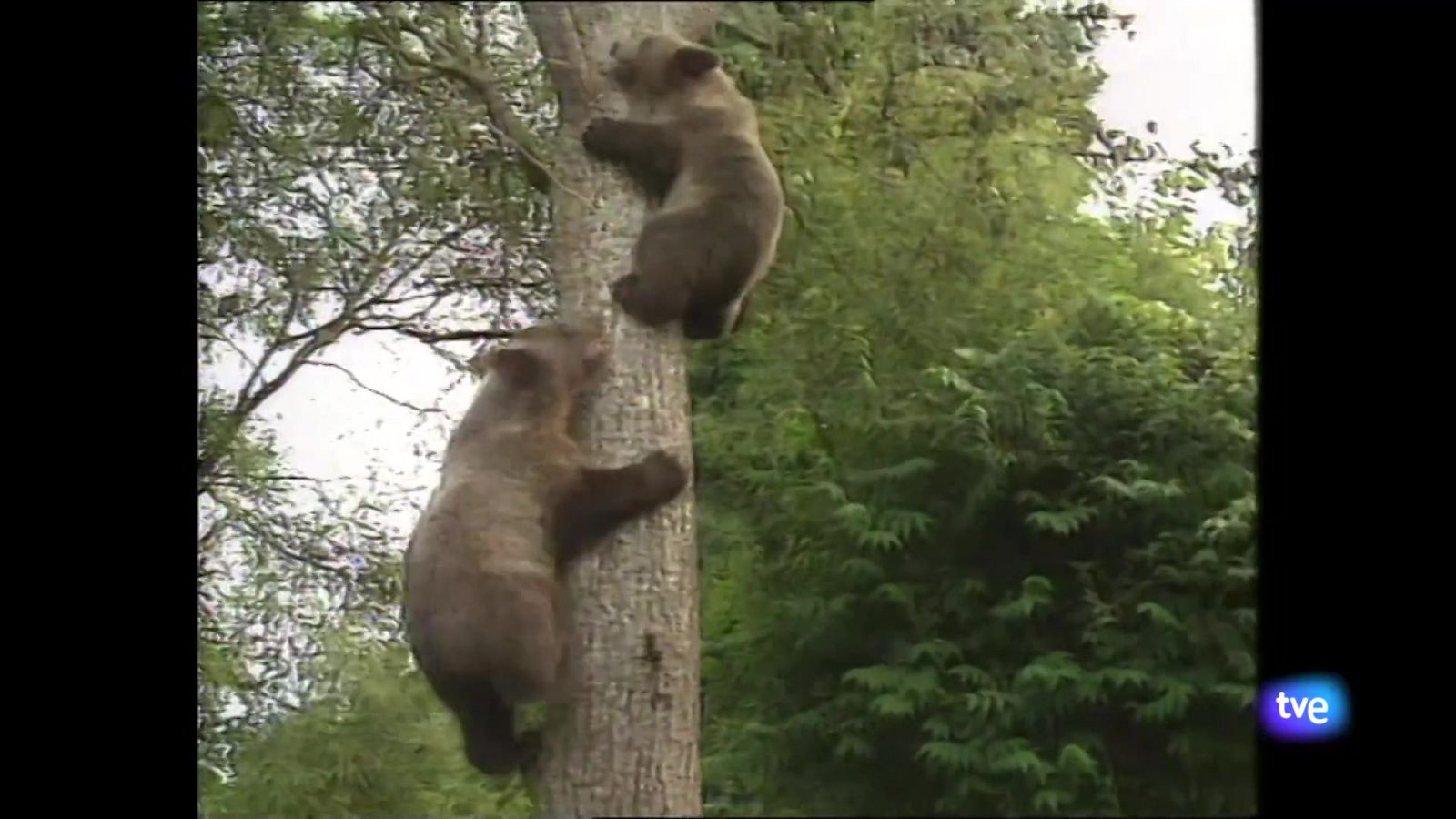 Asturias en 2' - 10/04/25 | Ver