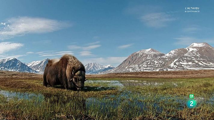 Som Documentals - Planeta en perill : Episodi 1