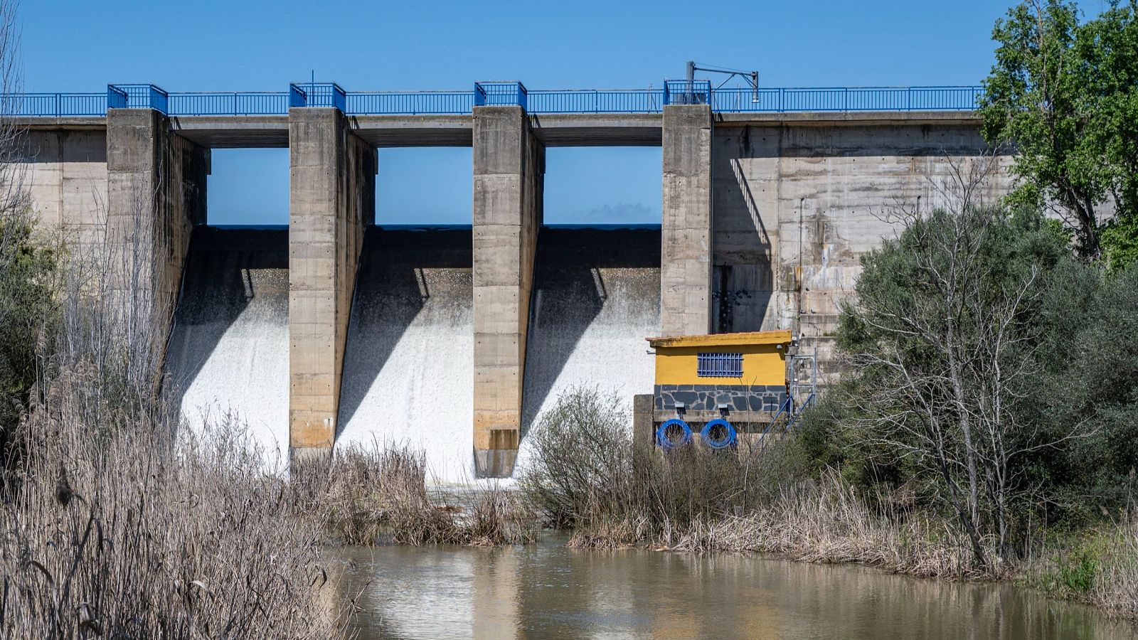 VerificaRTVE y el Pacto Verde europeo en 'La tarde en 24 horas' - La tarde en 24h | Ver