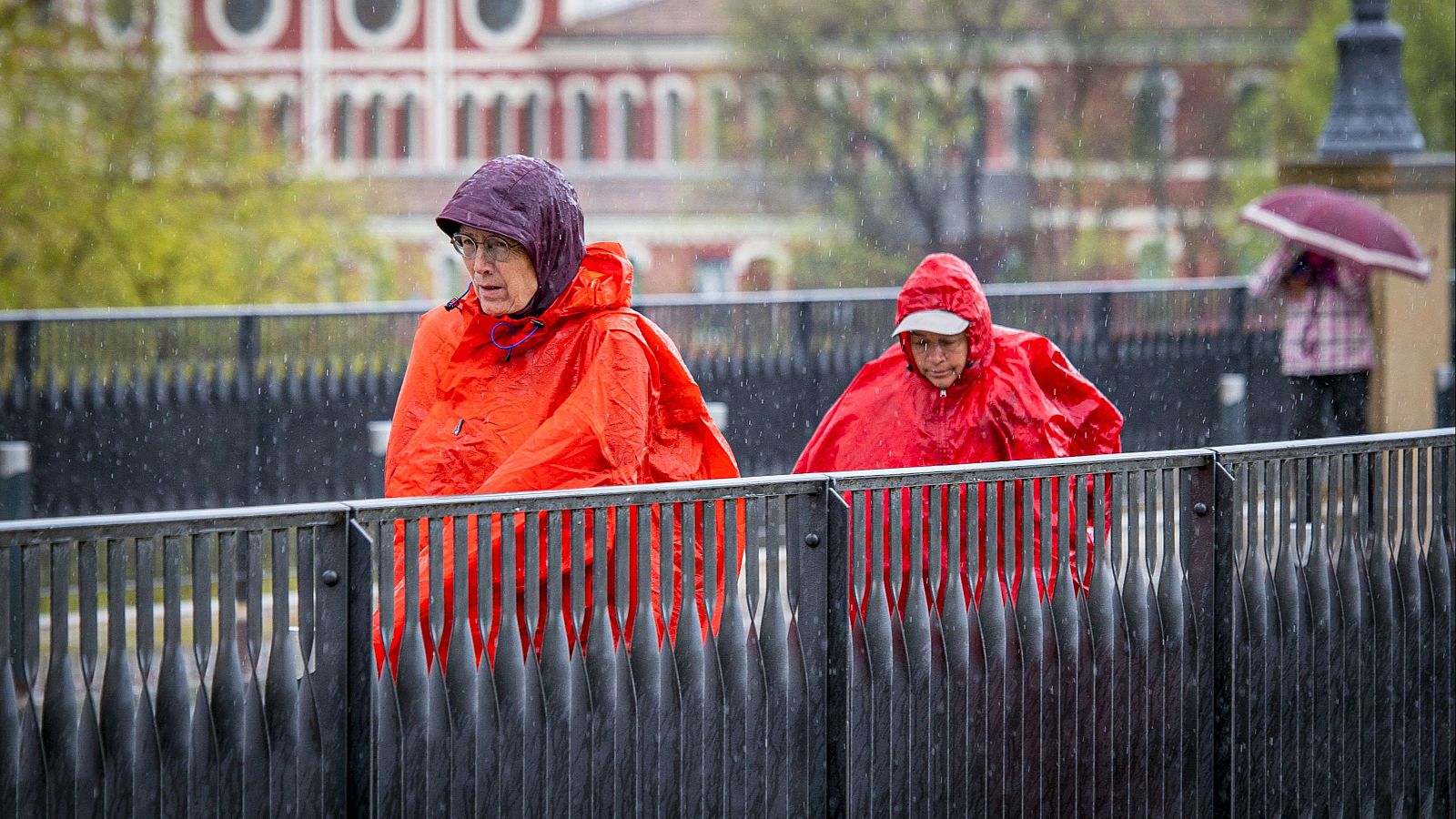 La borrasca Olivier trae precipitaciones generalizadas - El tiempo | Ver